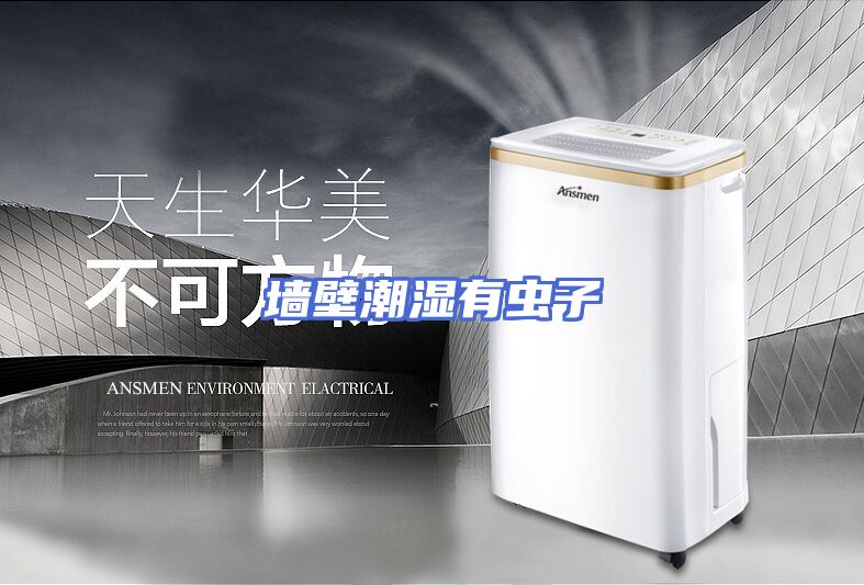 墙壁潮湿有虫子