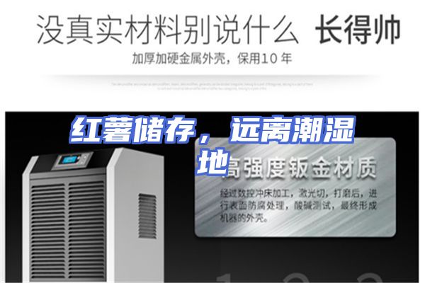 红薯储存，远离潮湿地