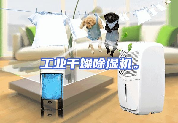 工业干燥除湿机。