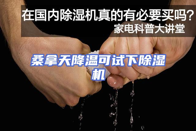 桑拿天降温可试下除湿机