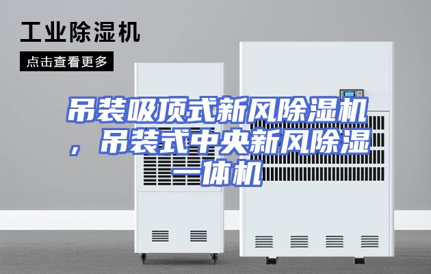 吊装吸顶式新风除湿机，吊装式中央新风除湿一体机