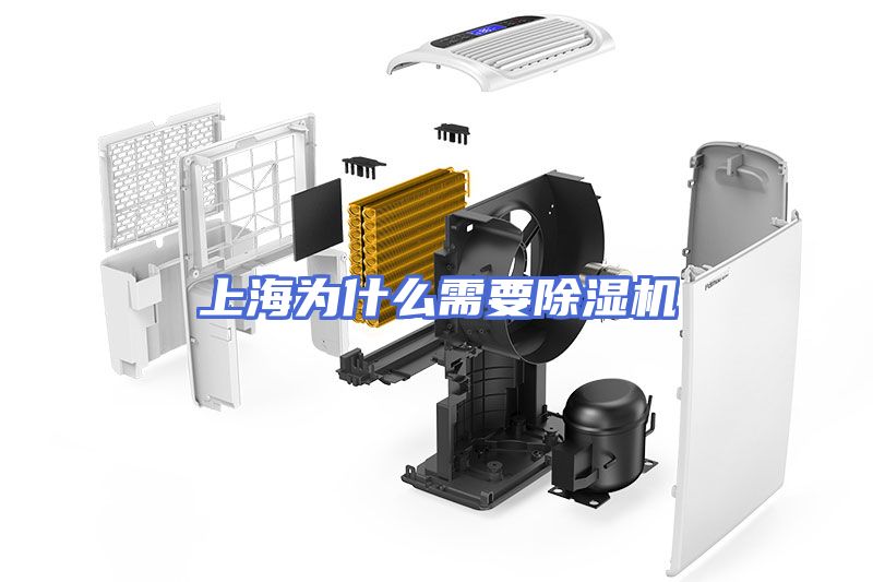 上海为什么需要除湿机