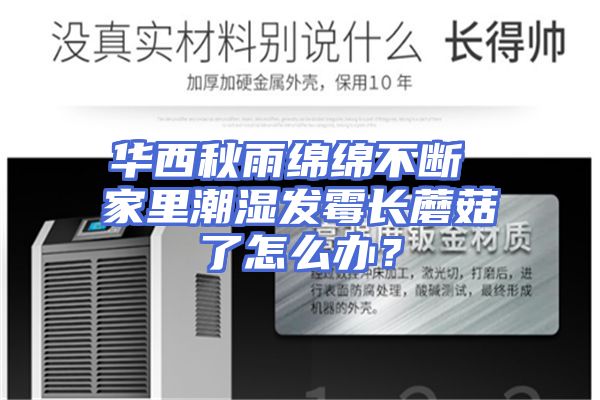 华西秋雨绵绵不断 家里潮湿发霉长蘑菇了怎么办？