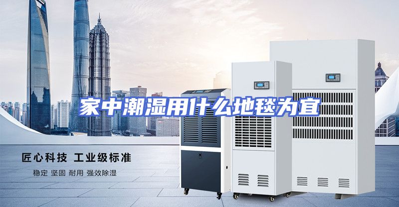 家中潮湿用什么地毯为宜