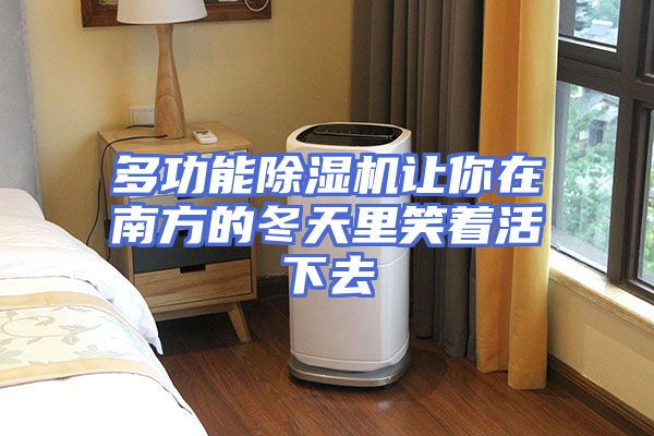 多功能除湿机让你在南方的冬天里笑着活下去