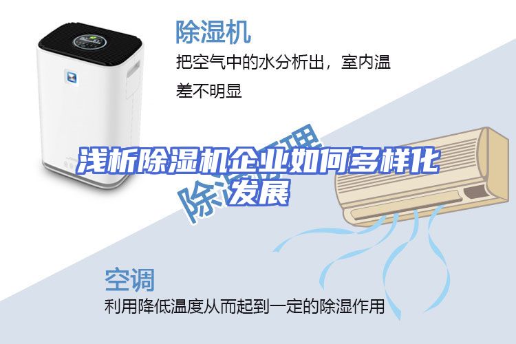 浅析除湿机企业如何多样化发展