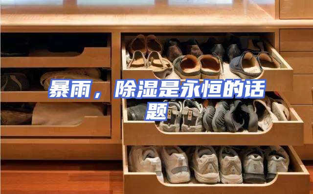 暴雨，除湿是永恒的话题