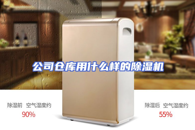 公司仓库用什么样的除湿机