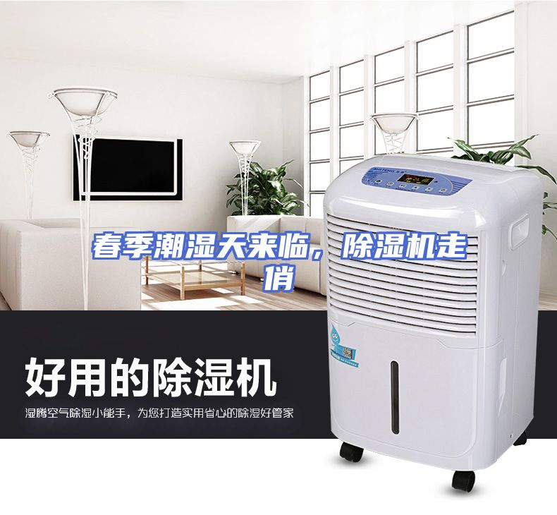 春季潮湿天来临，除湿机走俏