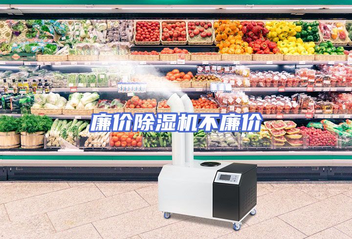 廉价除湿机不廉价