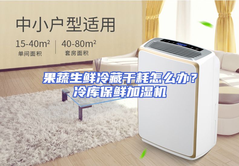 果蔬生鲜冷藏干耗怎么办？冷库保鲜加湿机