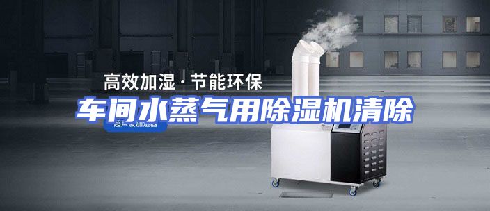 车间水蒸气用除湿机清除