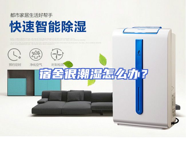 宿舍很潮湿怎么办？