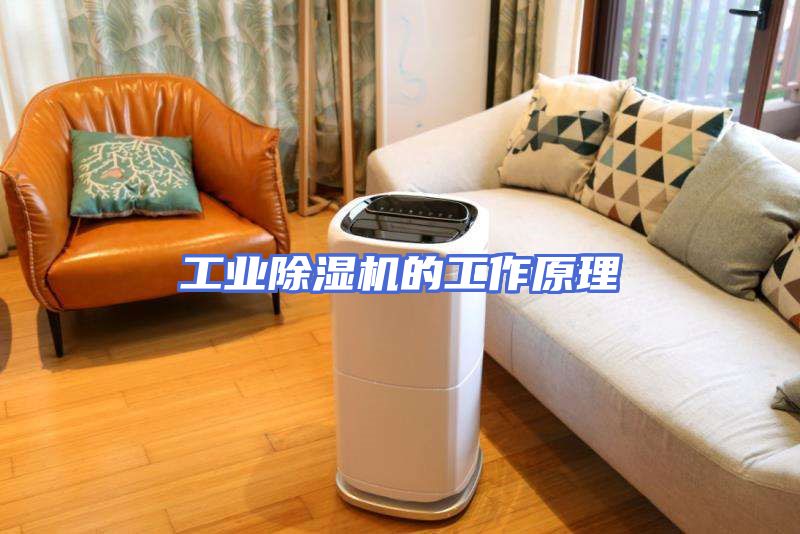 工业除湿机的工作原理