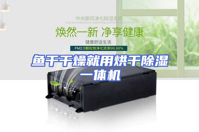 鱼干干燥就用烘干除湿一体机