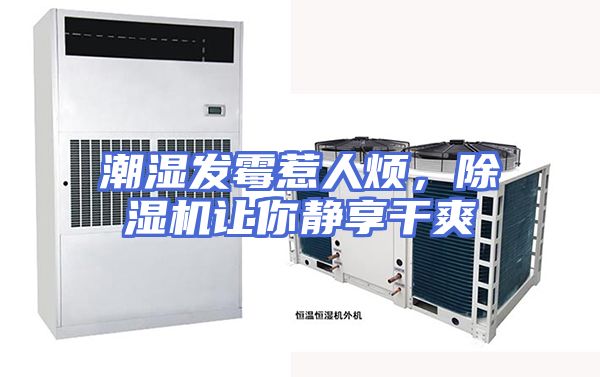 潮湿发霉惹人烦，除湿机让你静享干爽