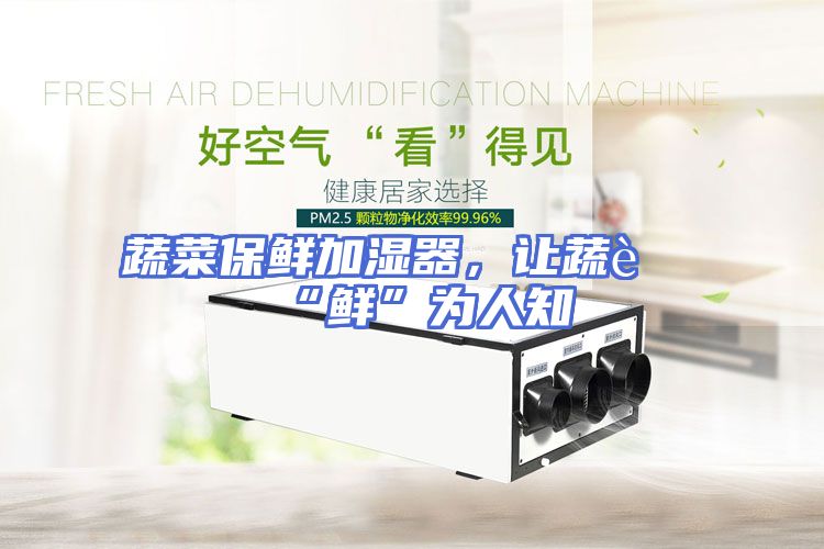 蔬菜保鲜加湿器，让蔬菜“鲜”为人知