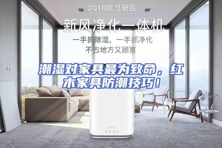 潮湿对家具最为致命，红木家具防潮技巧！