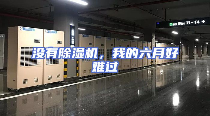 没有除湿机，我的六月好难过