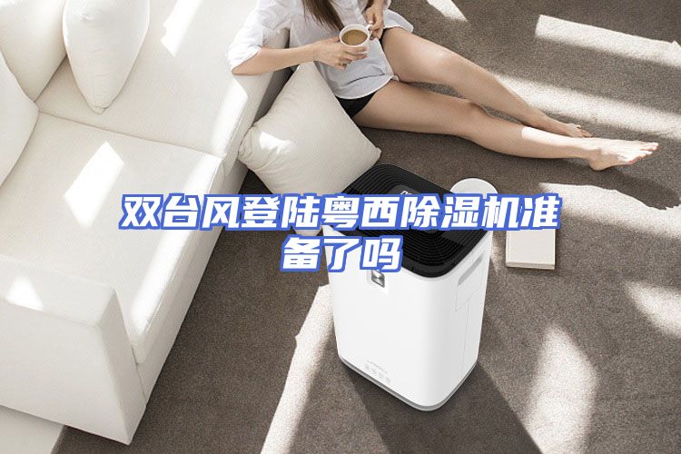 双台风登陆粤西除湿机准备了吗