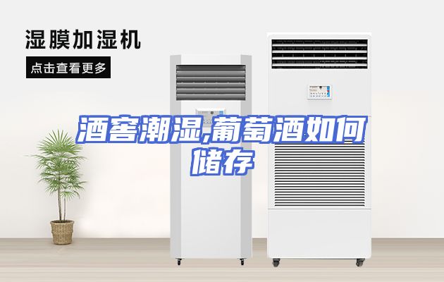 酒窖潮湿,葡萄酒如何储存