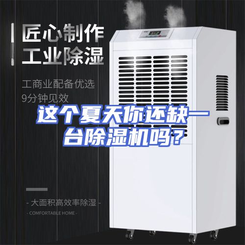 这个夏天你还缺一台除湿机吗？