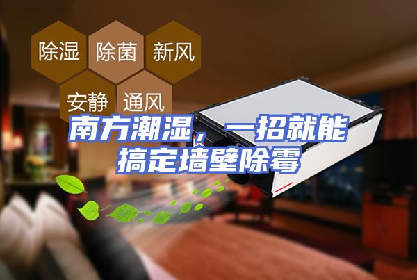 南方潮湿，一招就能搞定墙壁除霉