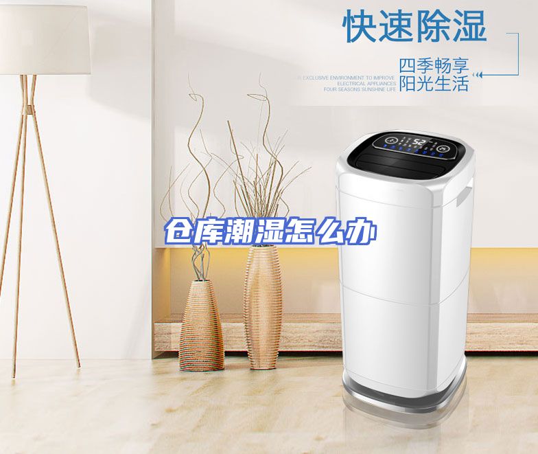 仓库潮湿怎么办