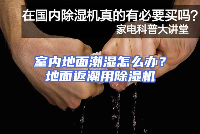 室内地面潮湿怎么办？地面返潮用除湿机