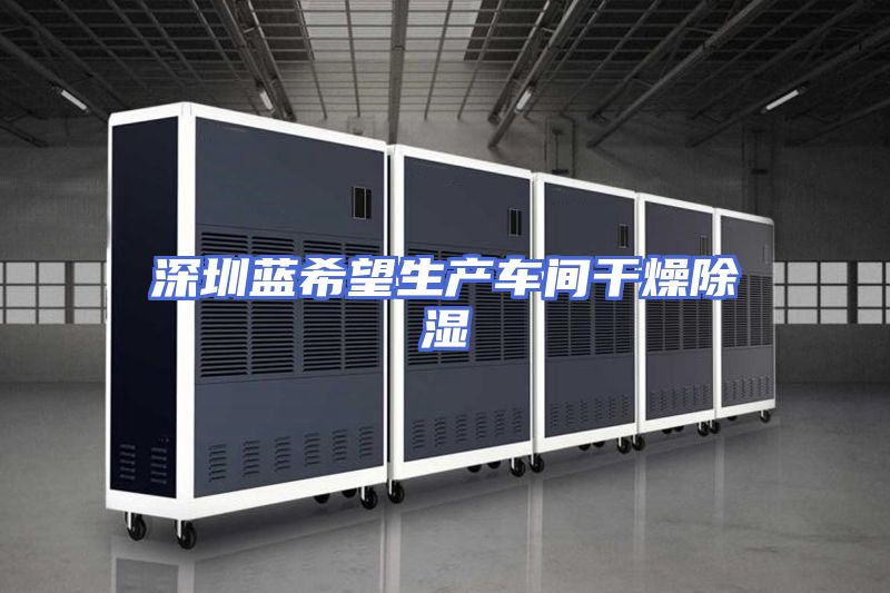 深圳蓝希望生产车间干燥除湿