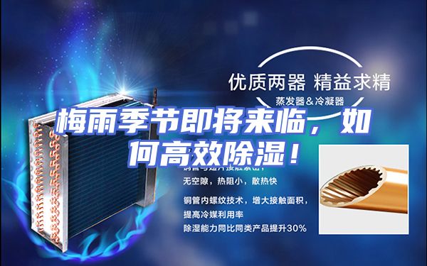 梅雨季节即将来临，如何高效除湿！