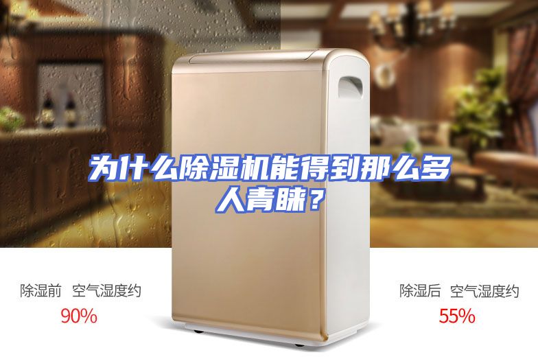 为什么除湿机能得到那么多人青睐？