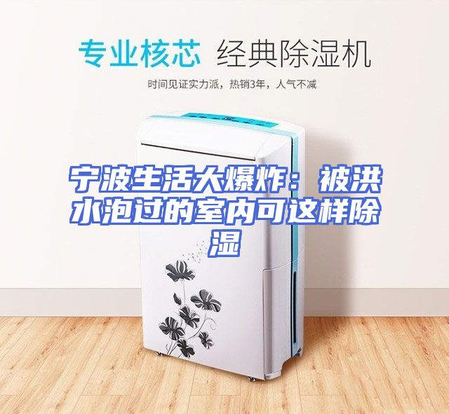 宁波生活大爆炸：被洪水泡过的室内可这样除湿