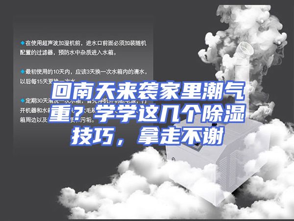 回南天来袭家里潮气重？学学这几个除湿技巧，拿走不谢