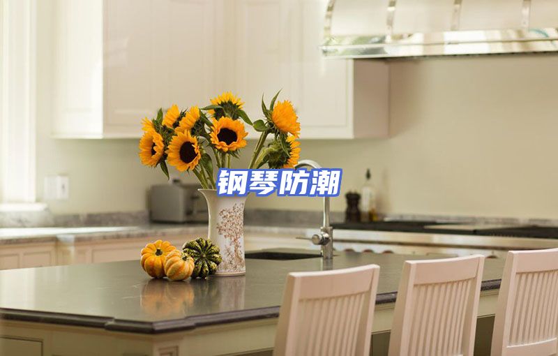 钢琴防潮