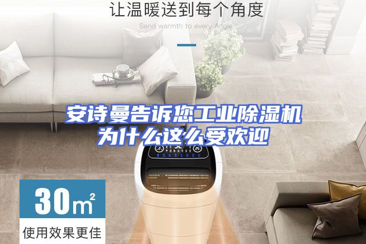 安诗曼告诉您工业除湿机为什么这么受欢迎