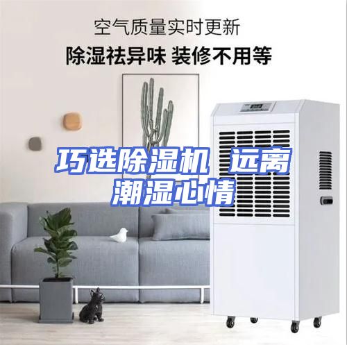 巧选除湿机 远离潮湿心情