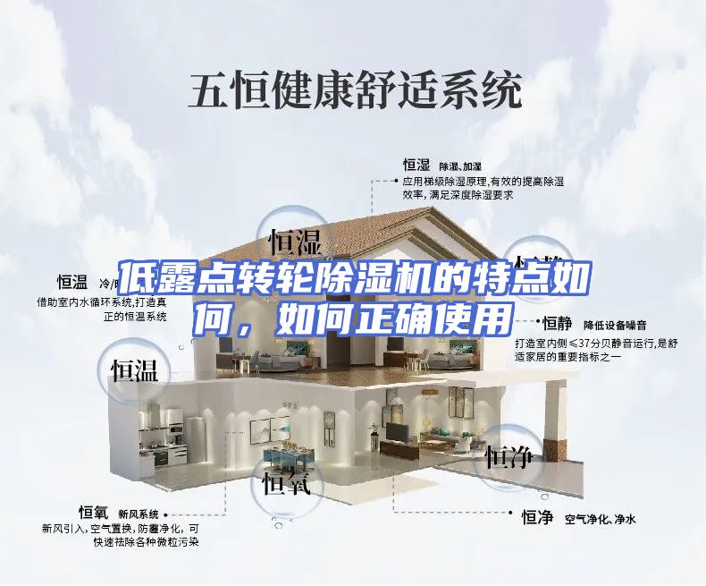 低露点转轮除湿机的特点如何，如何正确使用