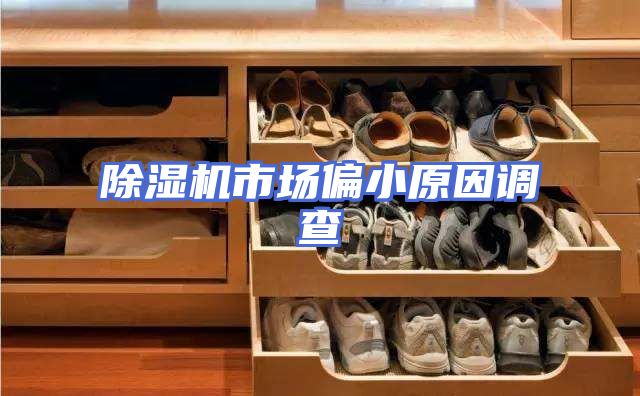 除湿机市场偏小原因调查