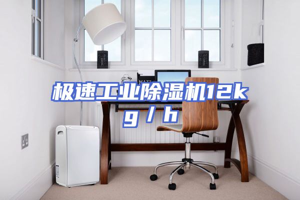 极速工业除湿机12kg／h