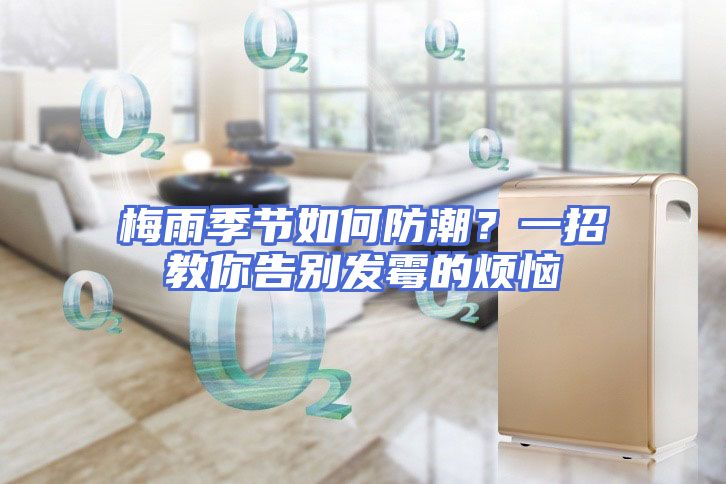 梅雨季节如何防潮？一招教你告别发霉的烦恼