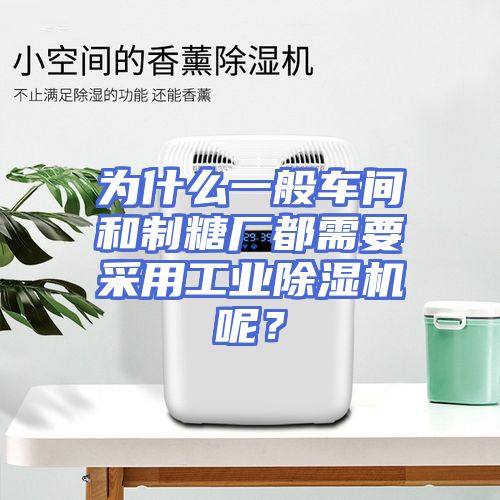 为什么一般车间和制糖厂都需要采用工业除湿机呢？