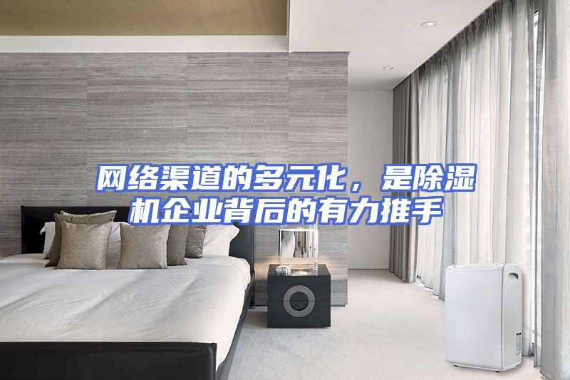 网络渠道的多元化，是除湿机企业背后的有力推手