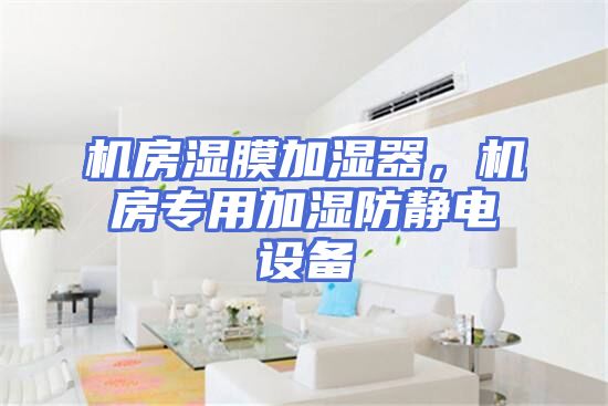 机房湿膜加湿器，机房专用加湿防静电设备