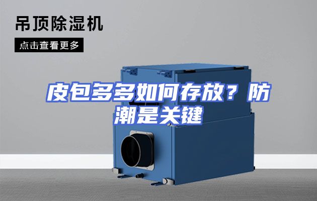 皮包多多如何存放？防潮是关键