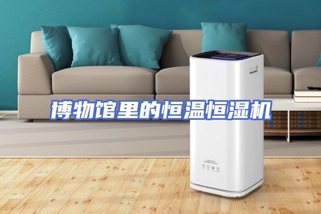 博物馆里的恒温恒湿机