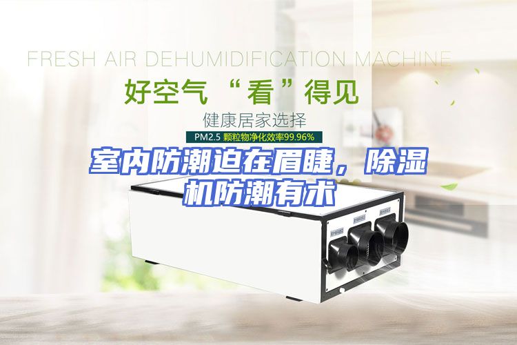 室内防潮迫在眉睫，除湿机防潮有术