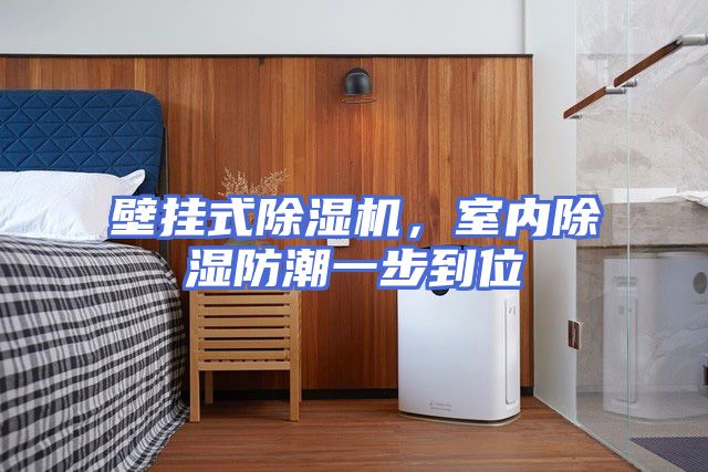 壁挂式除湿机，室内除湿防潮一步到位