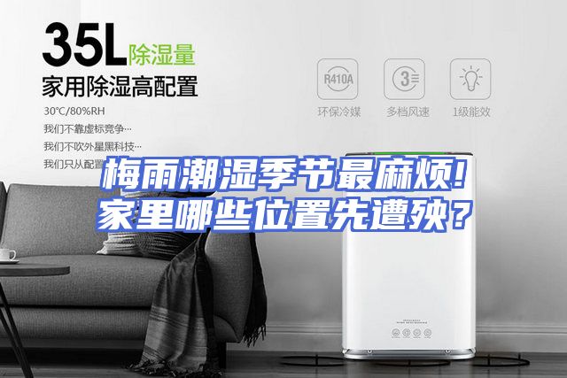 梅雨潮湿季节最麻烦!家里哪些位置先遭殃？