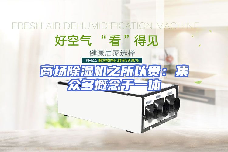 商场除湿机之所以贵：集众多概念于一体